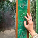Clay Blooms Mirror